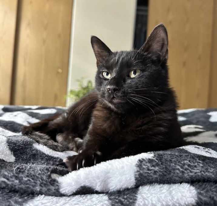 Photo of Fran