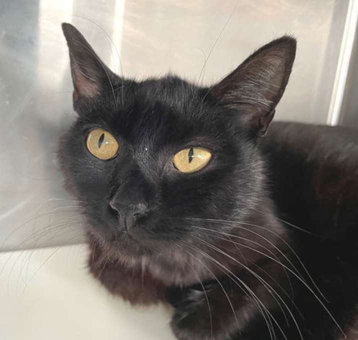 Photo of Dora