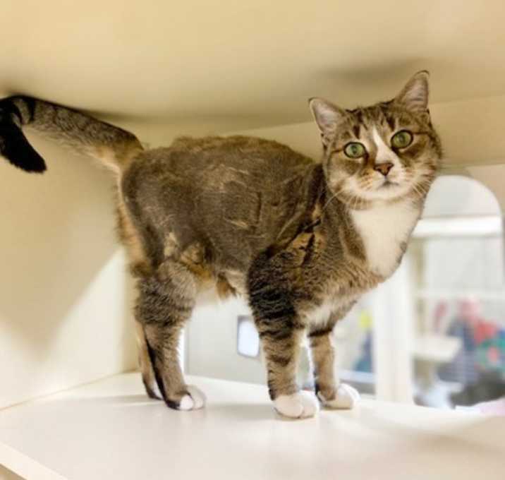 Photo of Molly~24/25-0307