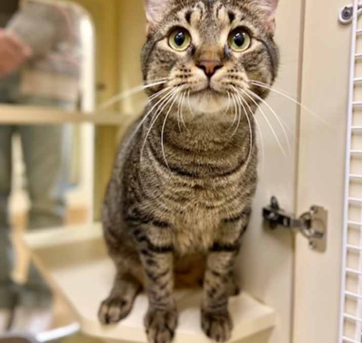 Photo of Tacoma~23/24-0318f