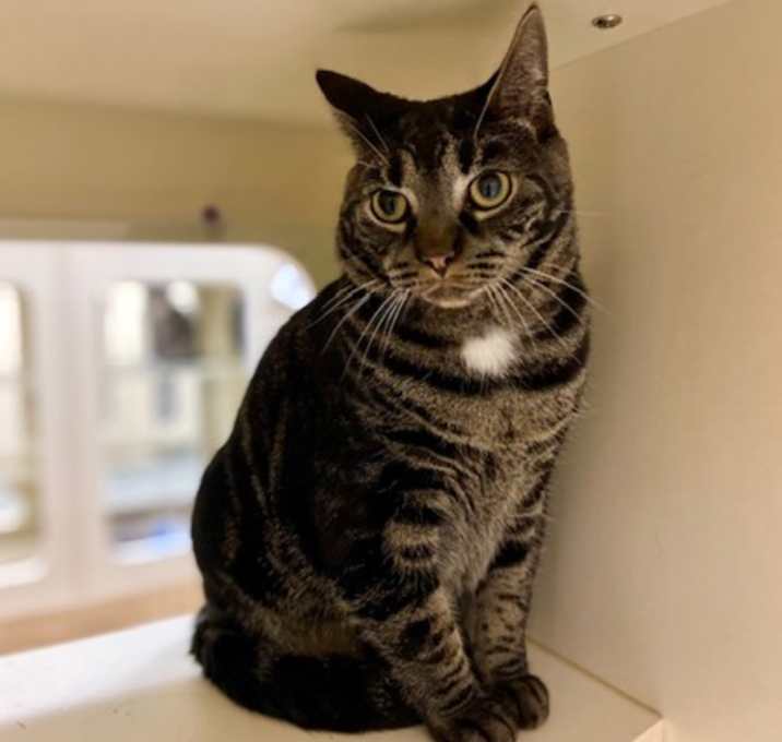 Photo of Lenny~24/25-0081b