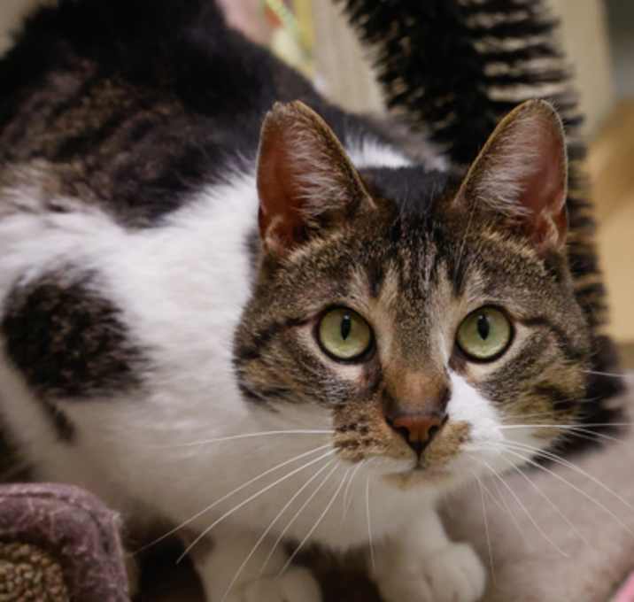 Photo of Tabitha