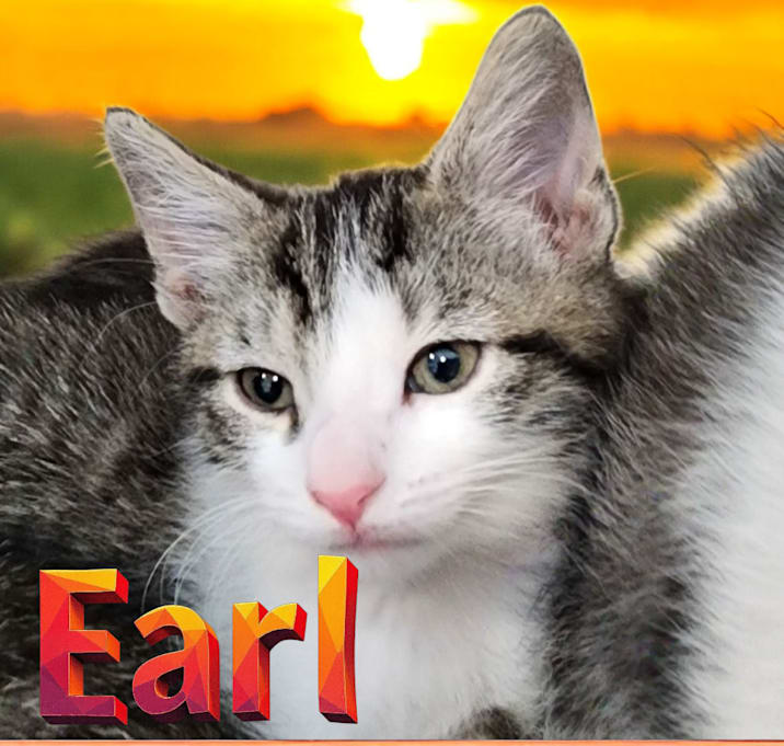 Photo of Earl