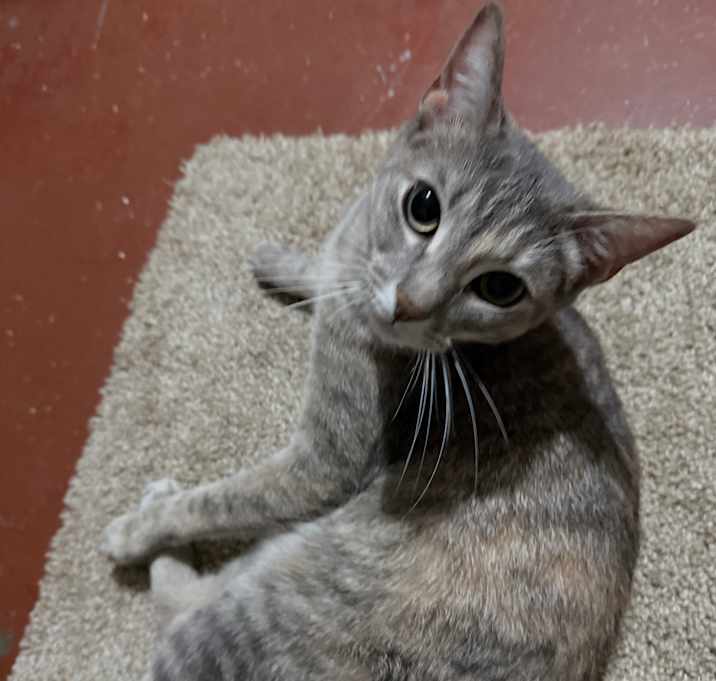 Photo of Mina