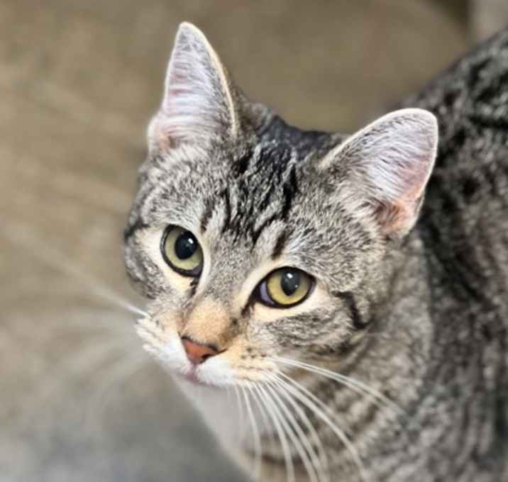 Photo of Junior