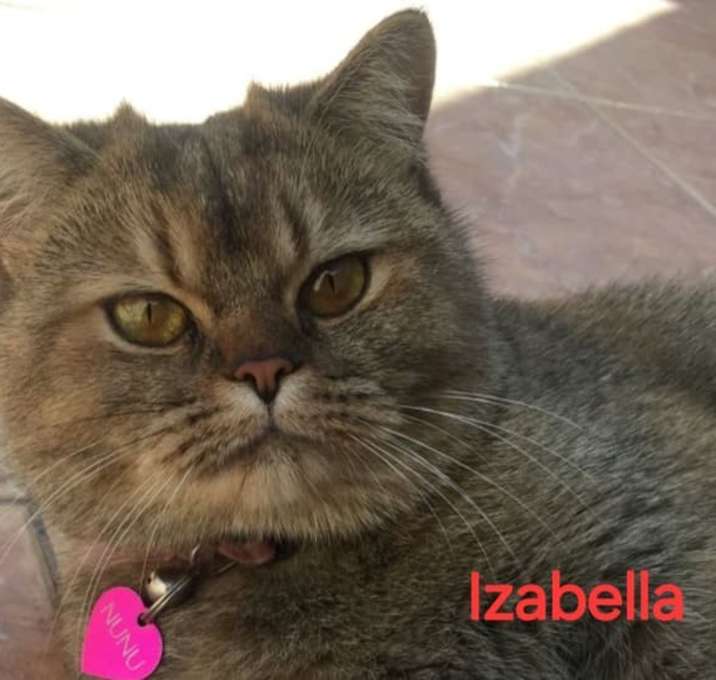 Photo of IZABELLE