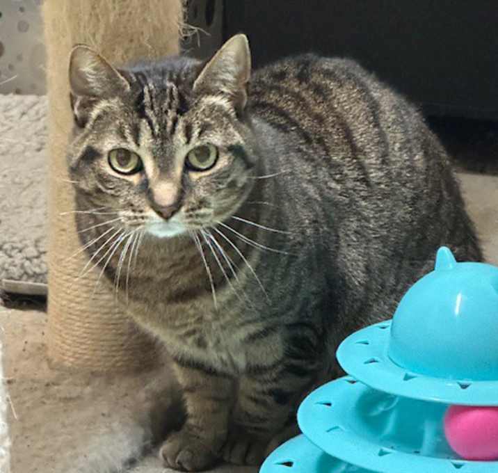 Photo of Squeaky