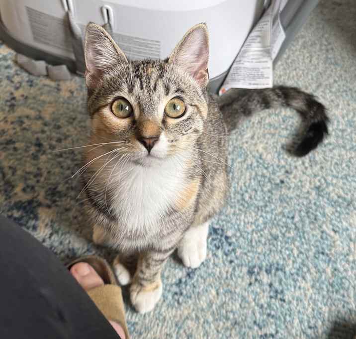 Photo of Dot