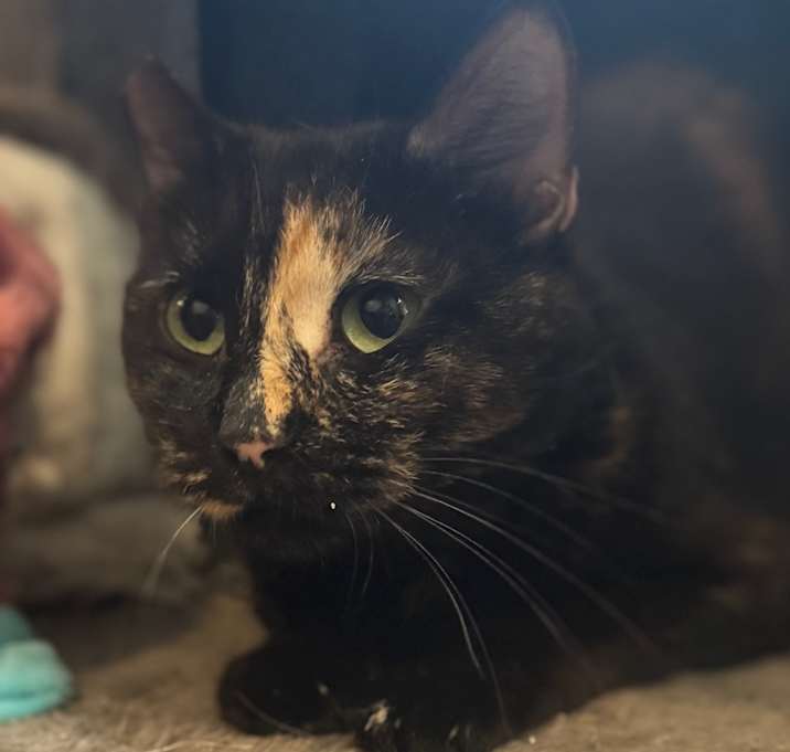 Photo of Molly