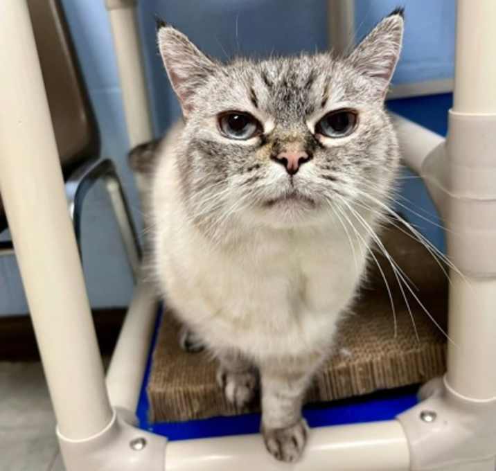 Photo of Casper