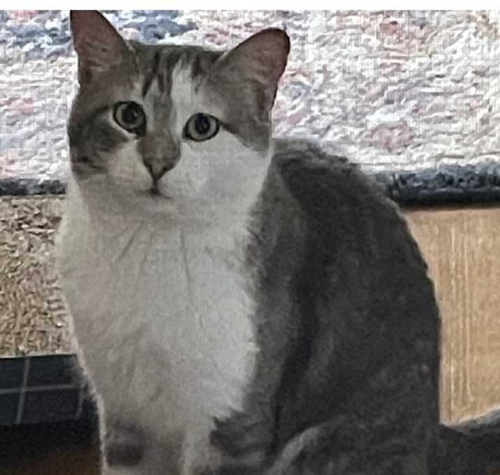 Photo of CHANCE