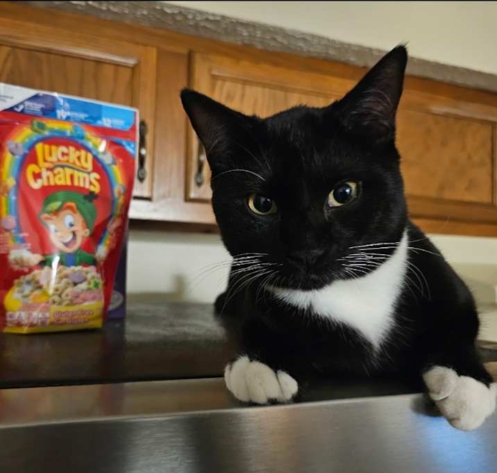 Photo of Capri Sun