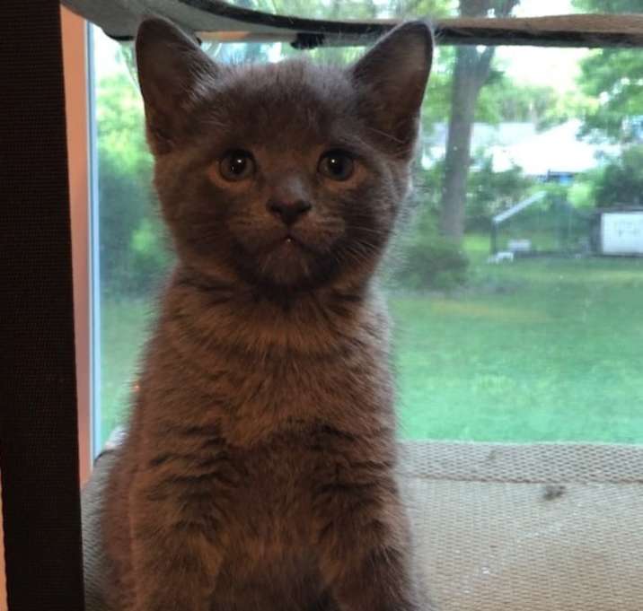 Photo of Storm