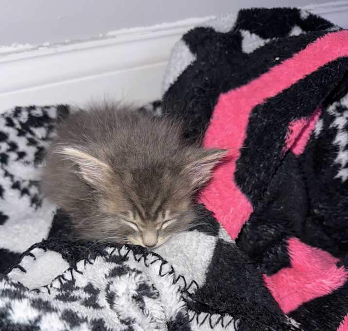 Photo of No name