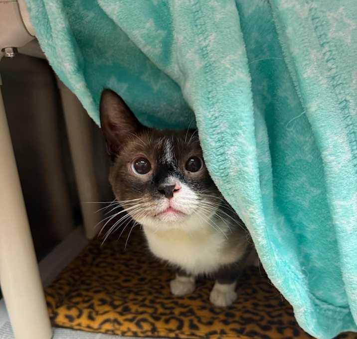 Photo of Cisco