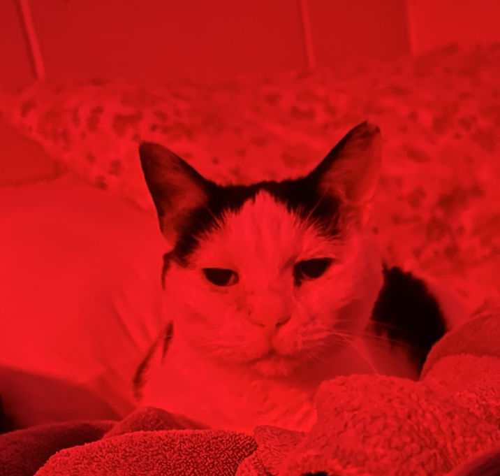 Photo of Storm