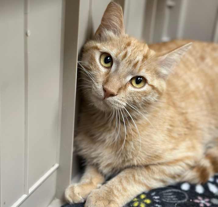 Photo of Guero