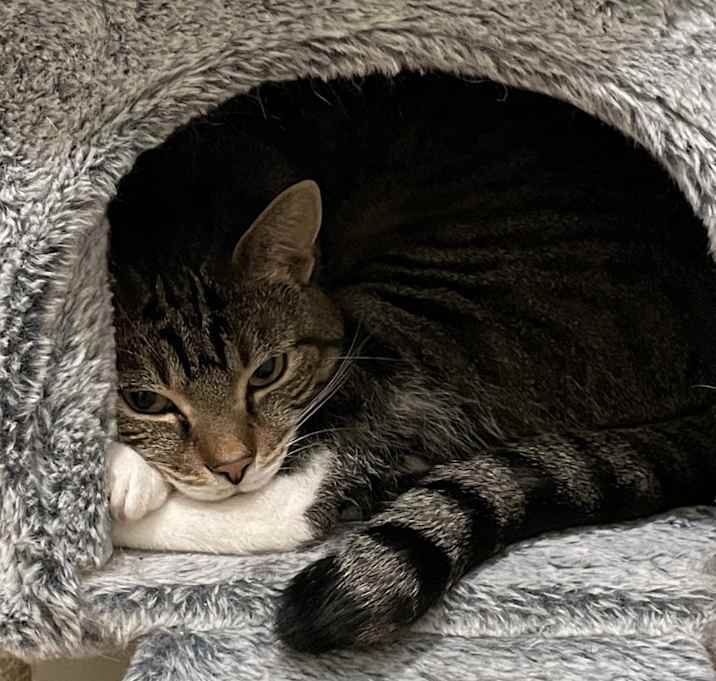 Photo of Jasper
