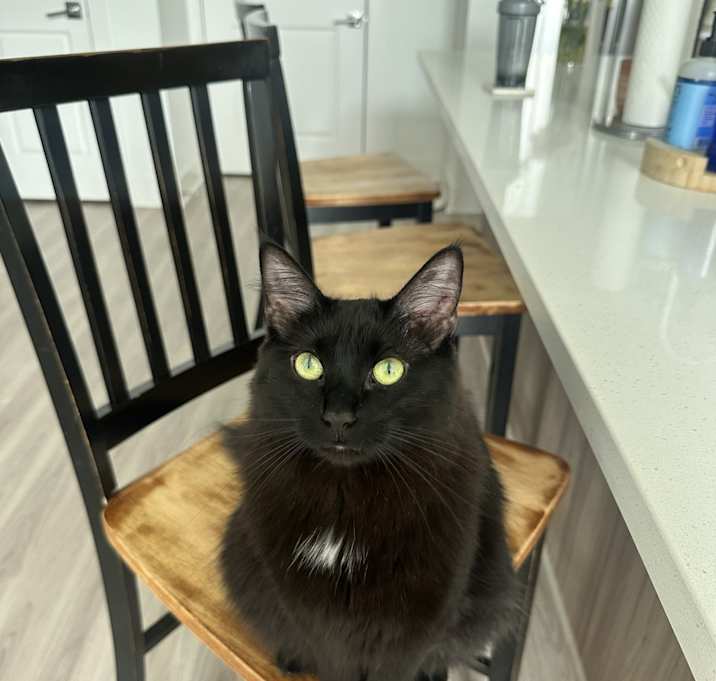 Photo of Bumi