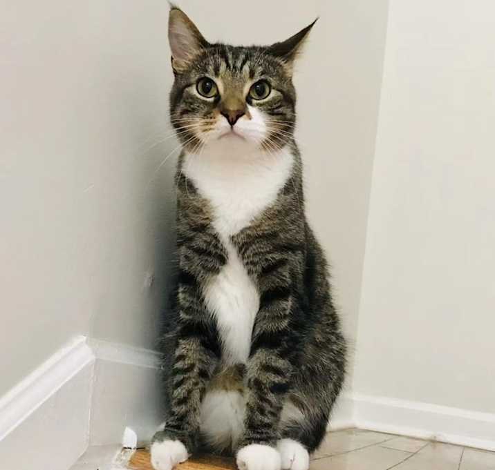 Photo of Ace