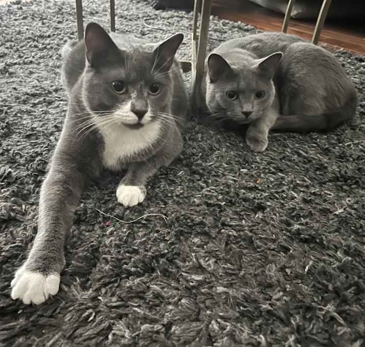 Photo of Jack and jill