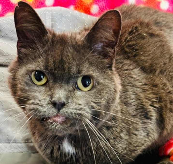 Photo of Sandy