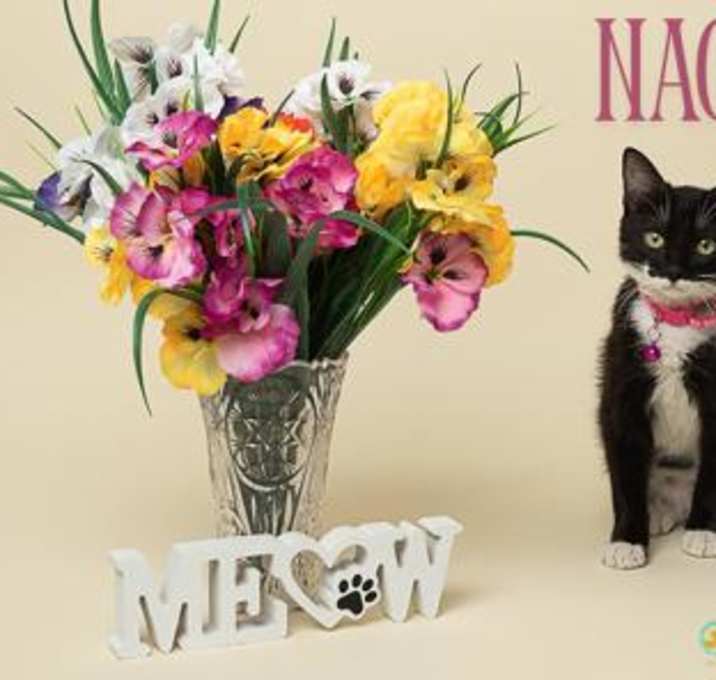Photo of Naomi