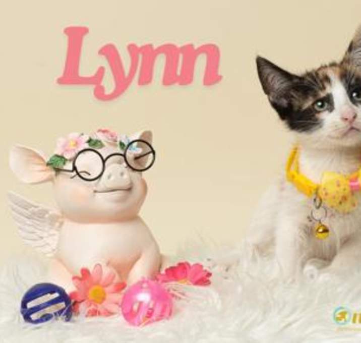 Photo of Lynn