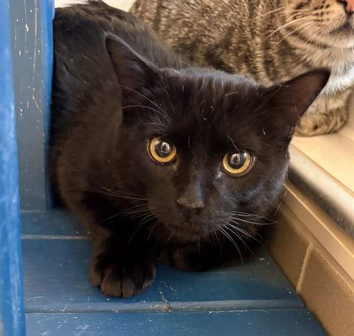 Photo of COOKIE