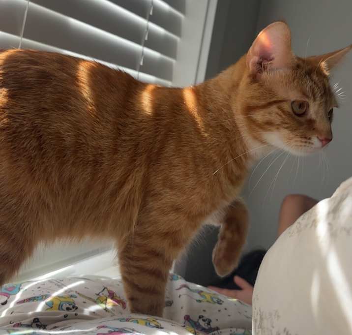 Photo of Mylo