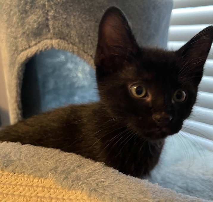 Photo of Harley