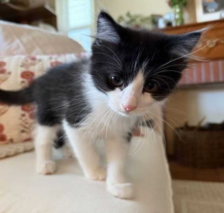 Photo of Grekko