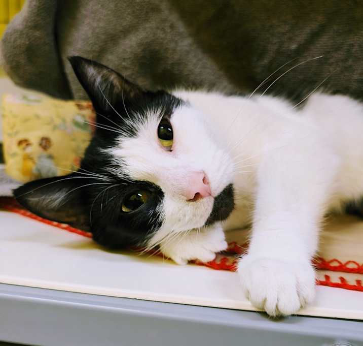 Photo of Chunk 