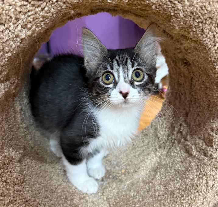 Photo of Musubi