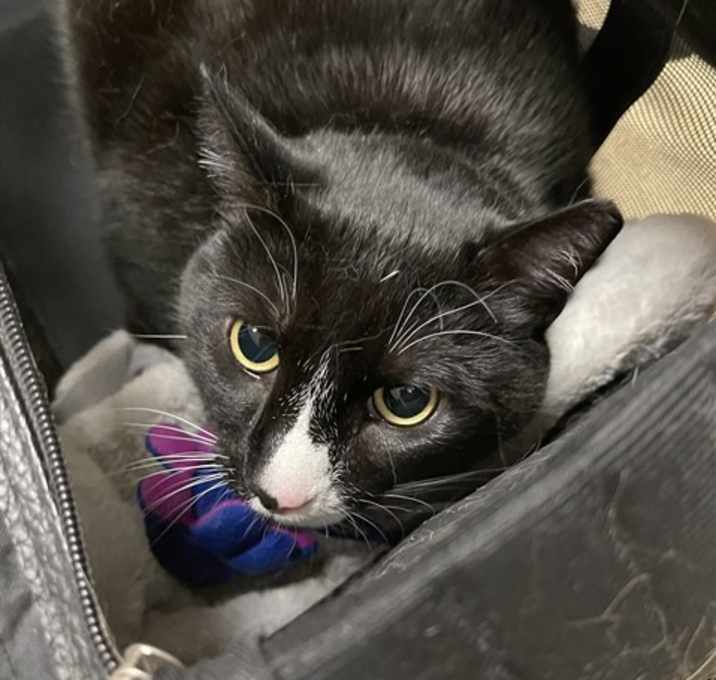 Photo of ANGEL