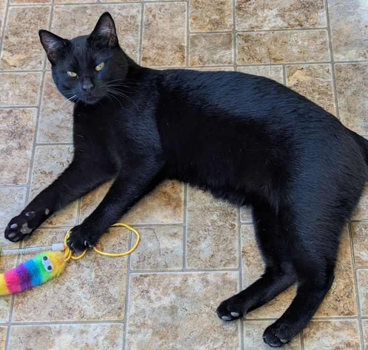 Photo of Salem