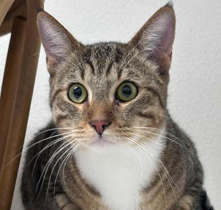 Photo of Kin