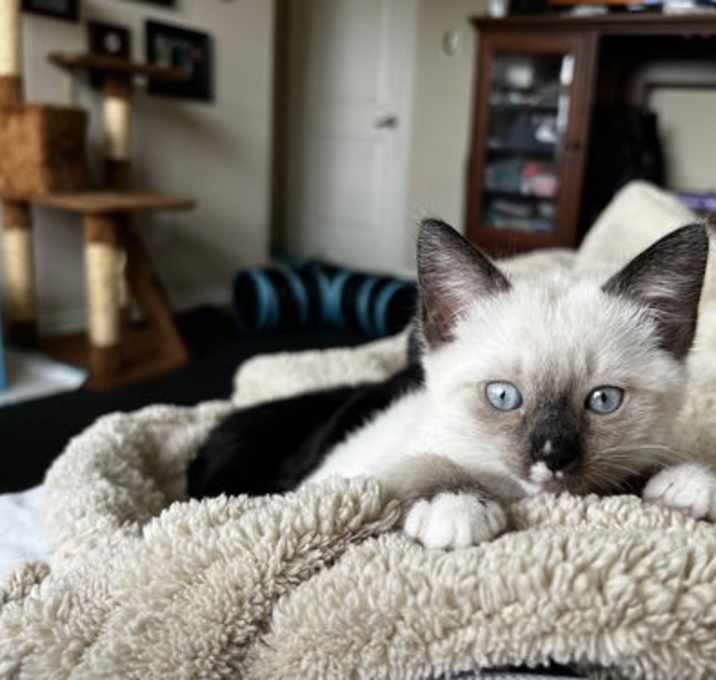 Photo of Pippa