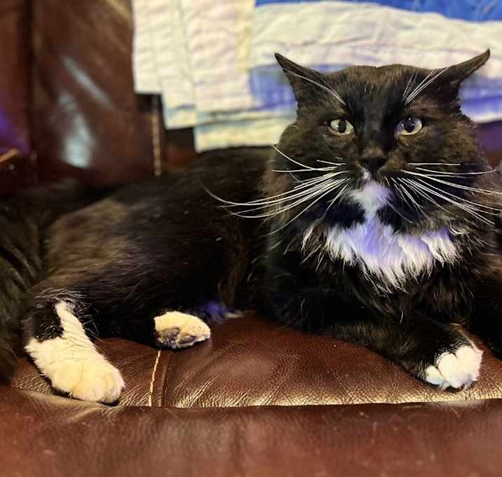 Photo of Victor