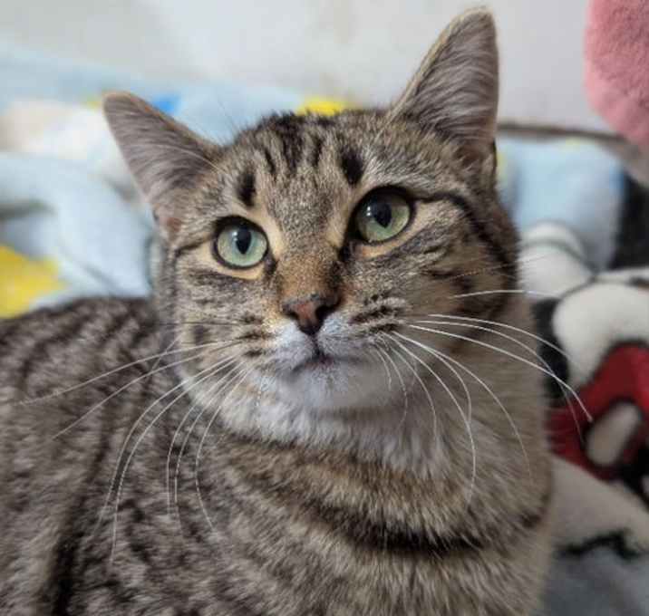 Photo of Rosie