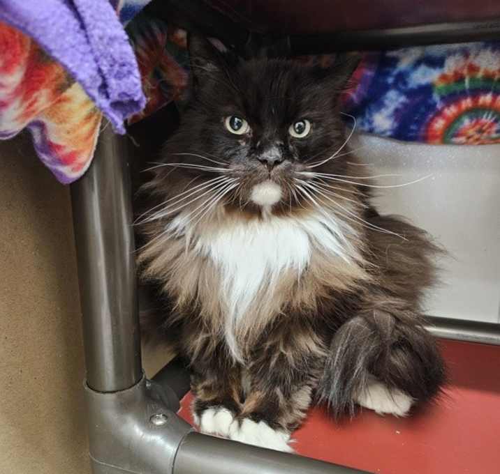 Photo of Bob