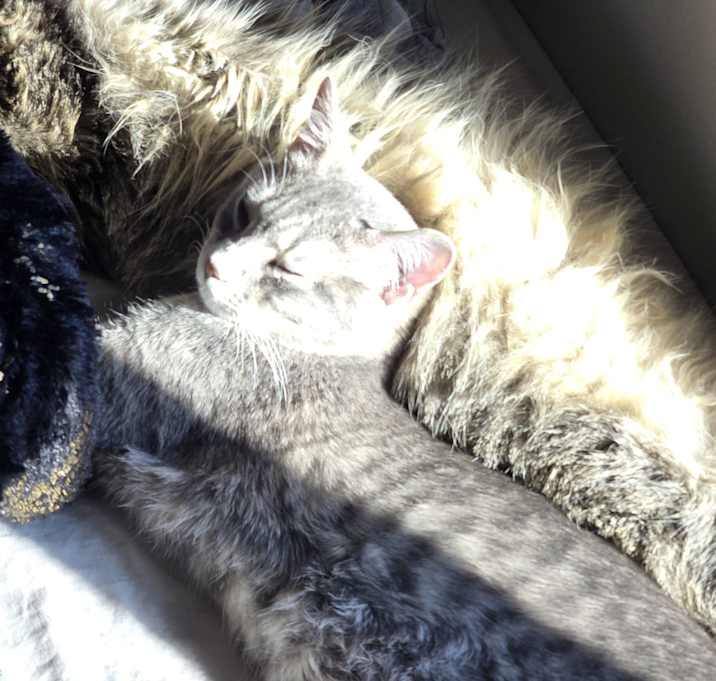 Photo of Cloud