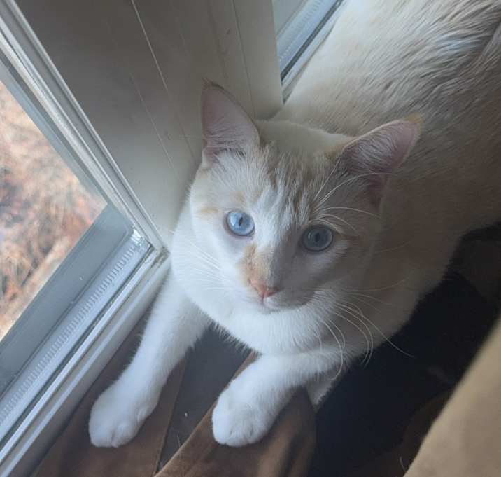 Photo of Mister