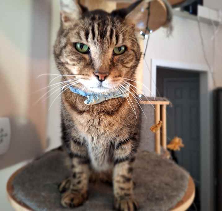 Photo of Gus