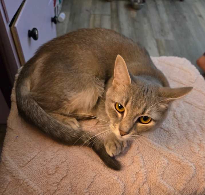 Photo of Elsa