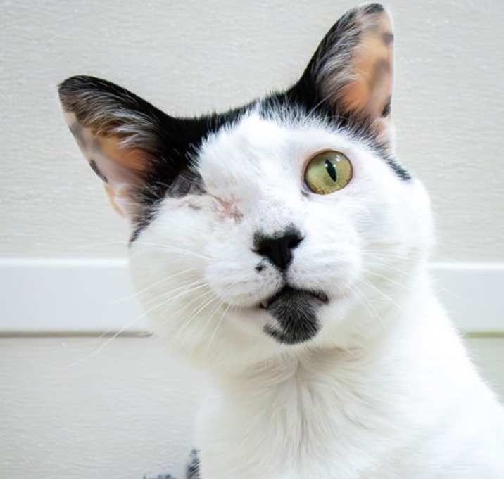 Photo of Charlie