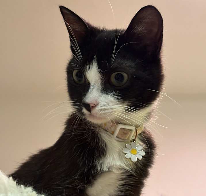 Photo of Miss Flower