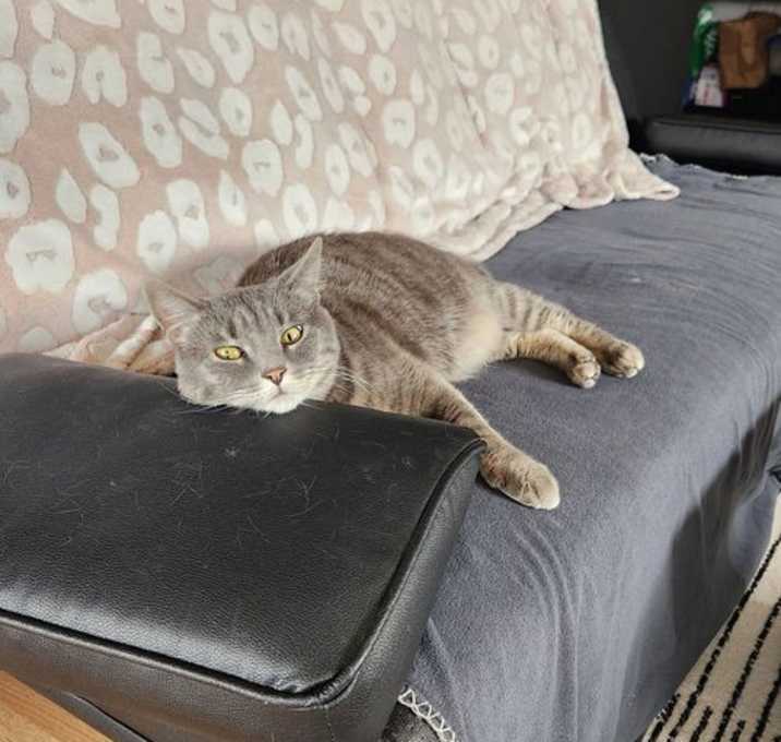Photo of Gracie