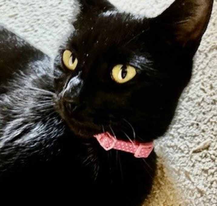 Photo of Minnie