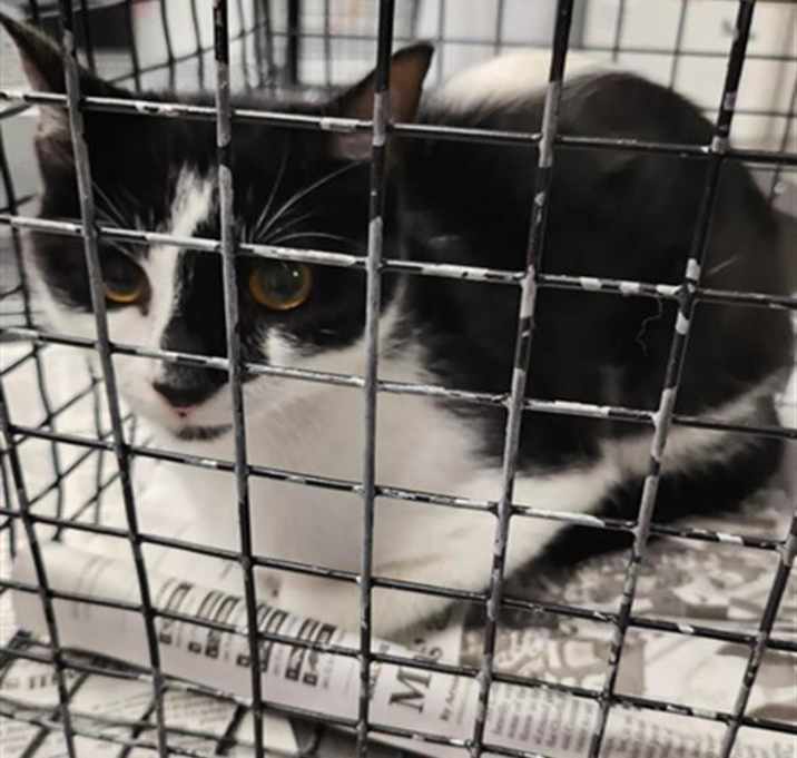 Photo of A2014951